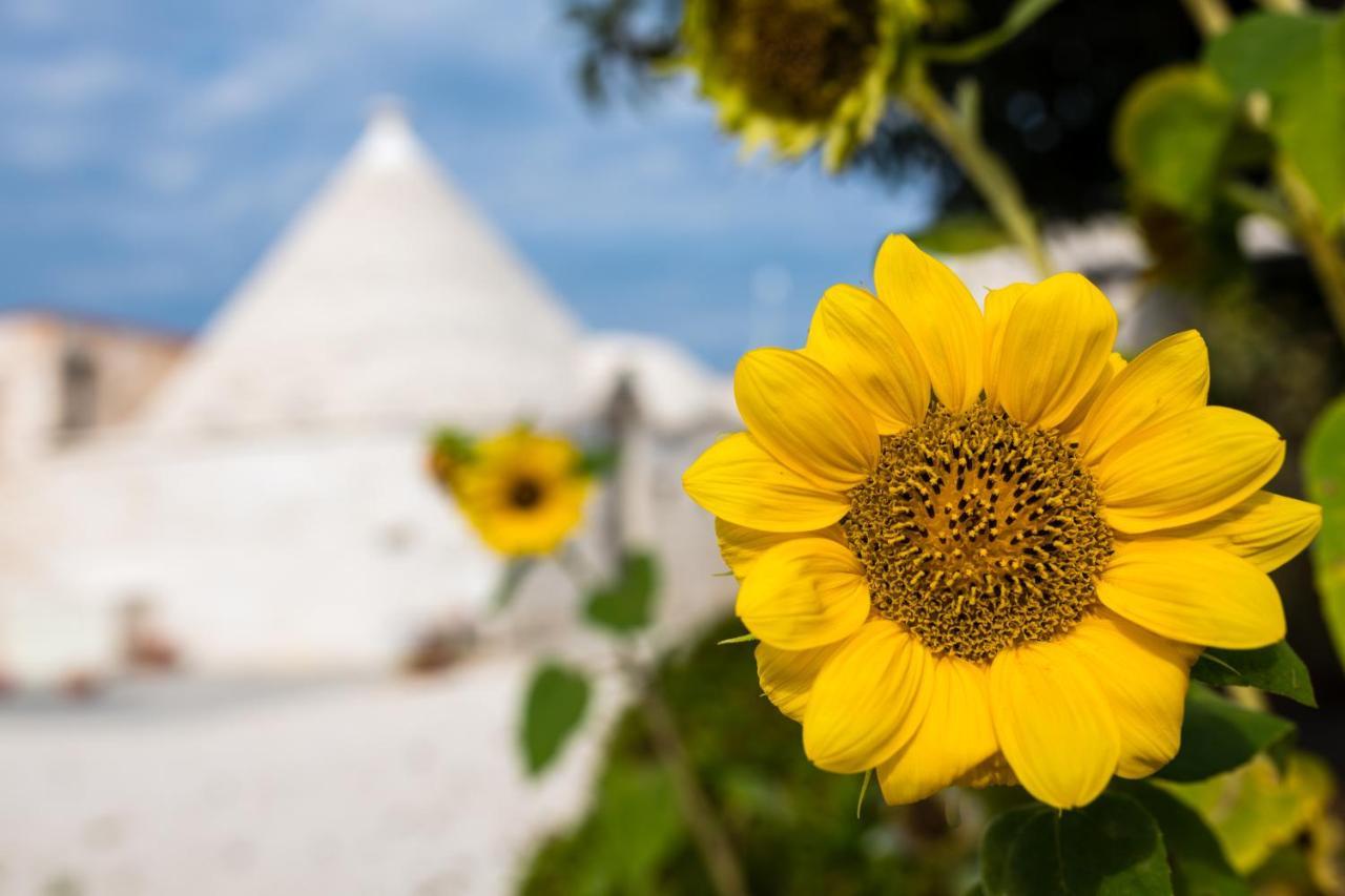 Masseria Mezza Ruota Alberobello Exterior foto